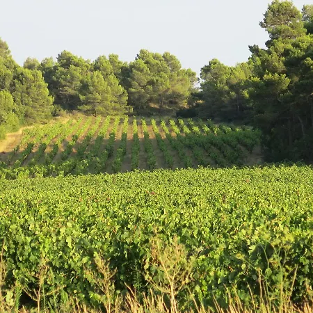 Escapat * Villeneuve-Minervois